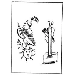 The Secret School Of Wisdom - The Authentic Rituals And Doctrines Of The Illuminati -Masonic Collection 9780853184935 3