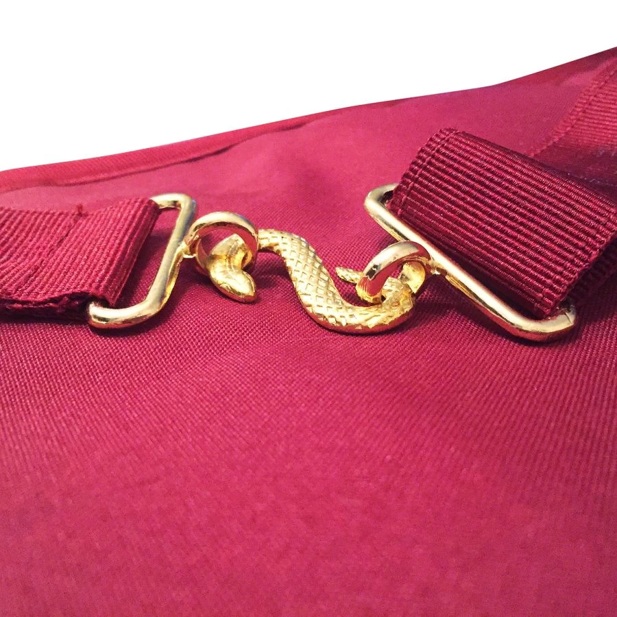 Royal Arch RA Companions Apron 6 Royal Arch RA Companions Apron - Image 4