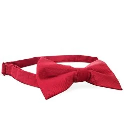 Red 100% Silk Woven Masonic Bowtie