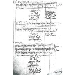 The Mandorla And Tau: The Secrets And Mysteries Of Freemasonry Revealed -Masonic Collection y93306 4